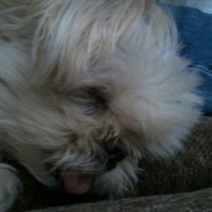 Meet your Posher, Larry